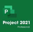 Project 2021 Pro